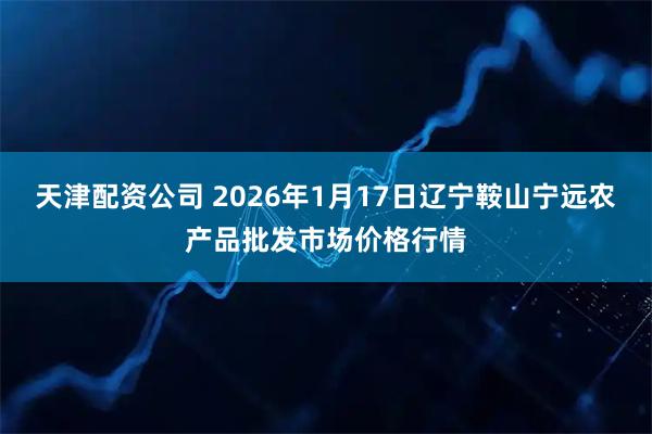 天津配资公司 2026年1月17日辽宁鞍山宁远农产品批发市场价格行情